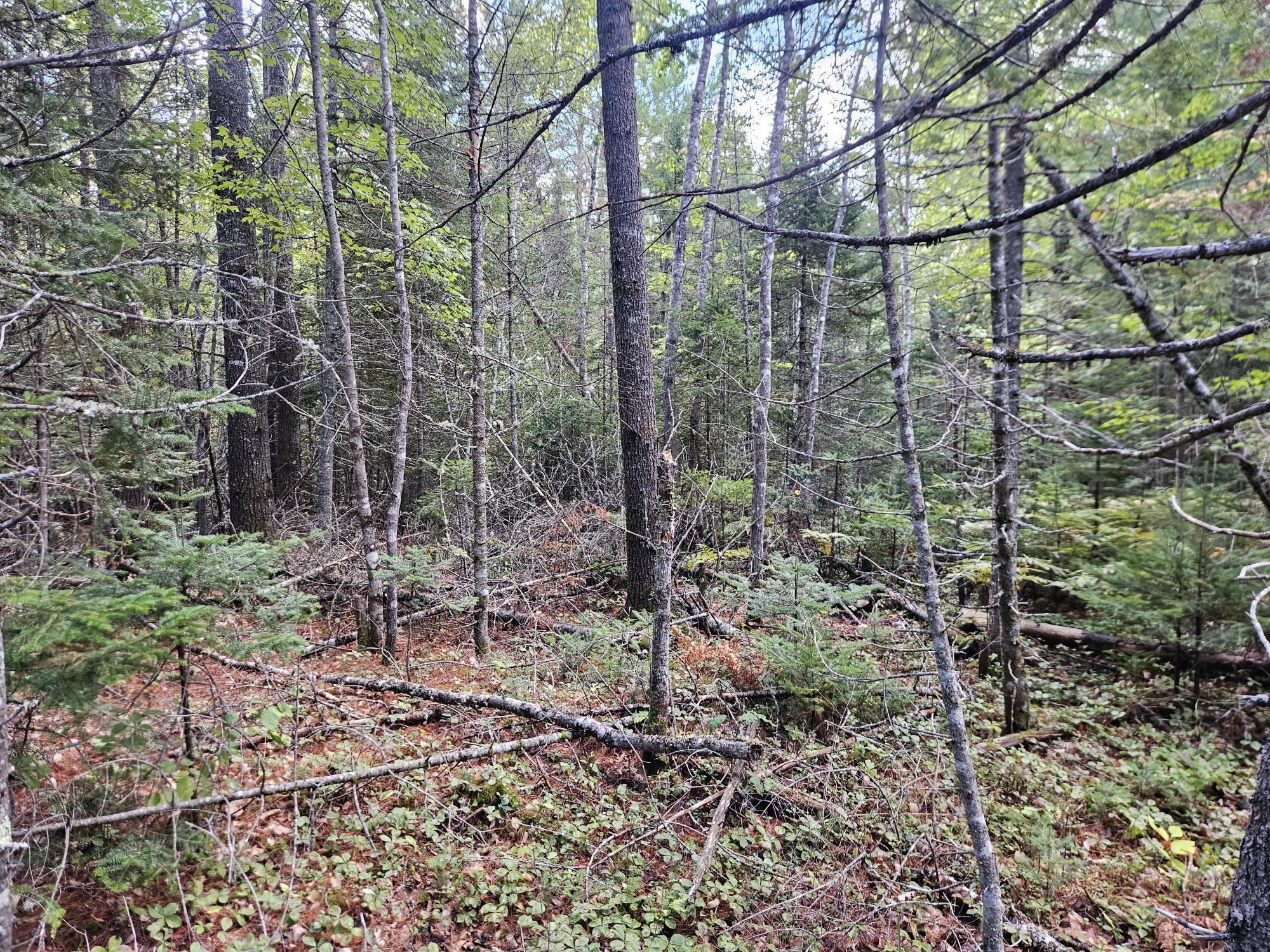 24 Howard Siding Lane Abbot, ME 04406 - Photo 15 of 44 20250908_110016