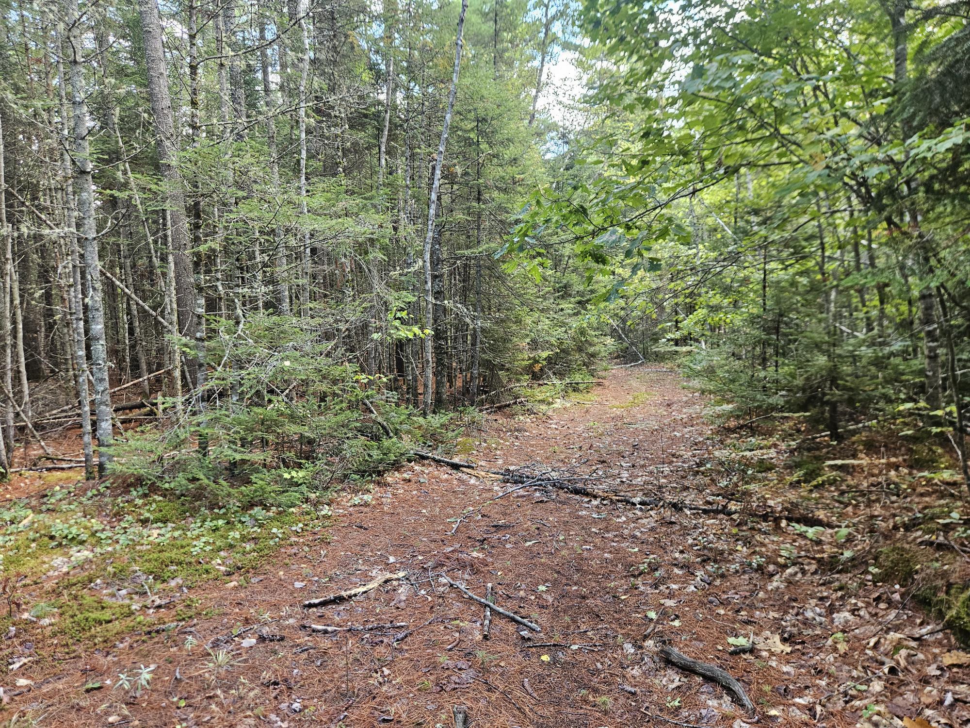 24 Howard Siding Lane Abbot, ME 04406 - Photo 16 of 44 20250908_110027