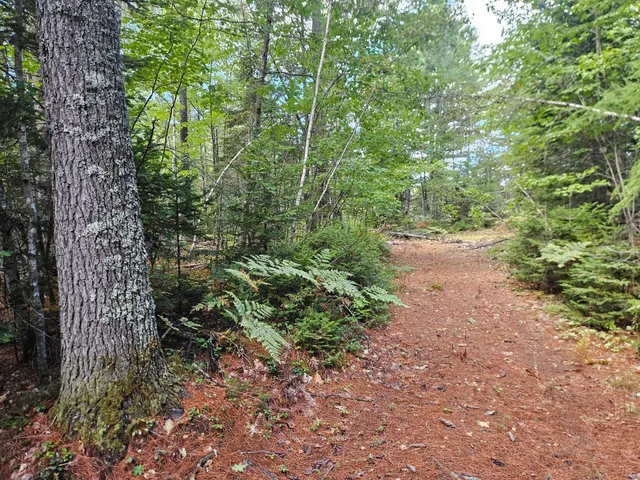 $92,500 | 24 Howard Siding Lane, Abbot, ME 04406