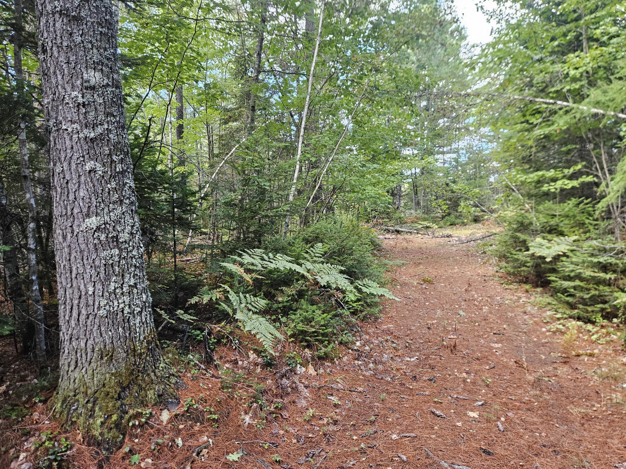 24 Howard Siding Lane Abbot, ME 04406 - Photo 17 of 44 20250908_110030