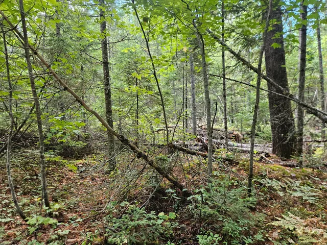 $92,500 | 24 Howard Siding Lane, Abbot, ME 04406