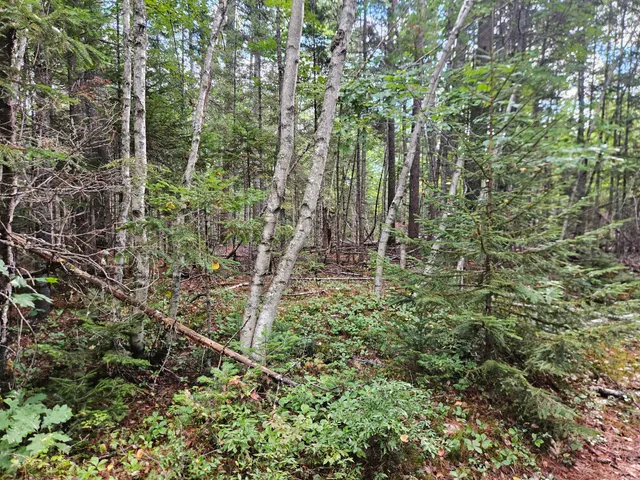 $92,500 | 24 Howard Siding Lane, Abbot, ME 04406