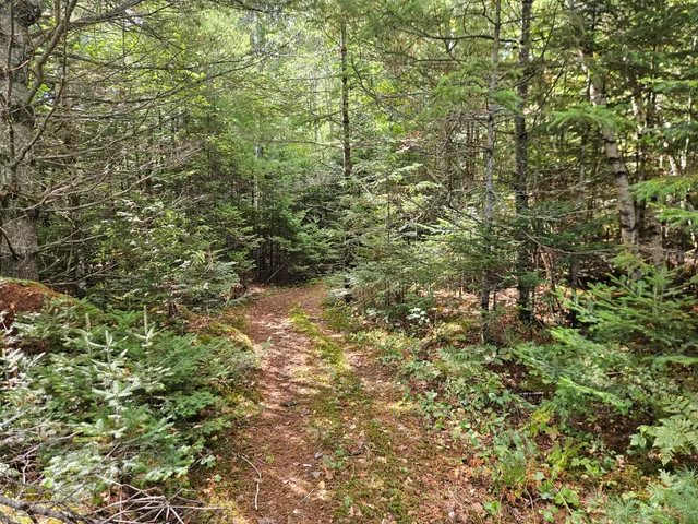 $92,500 | 24 Howard Siding Lane, Abbot, ME 04406