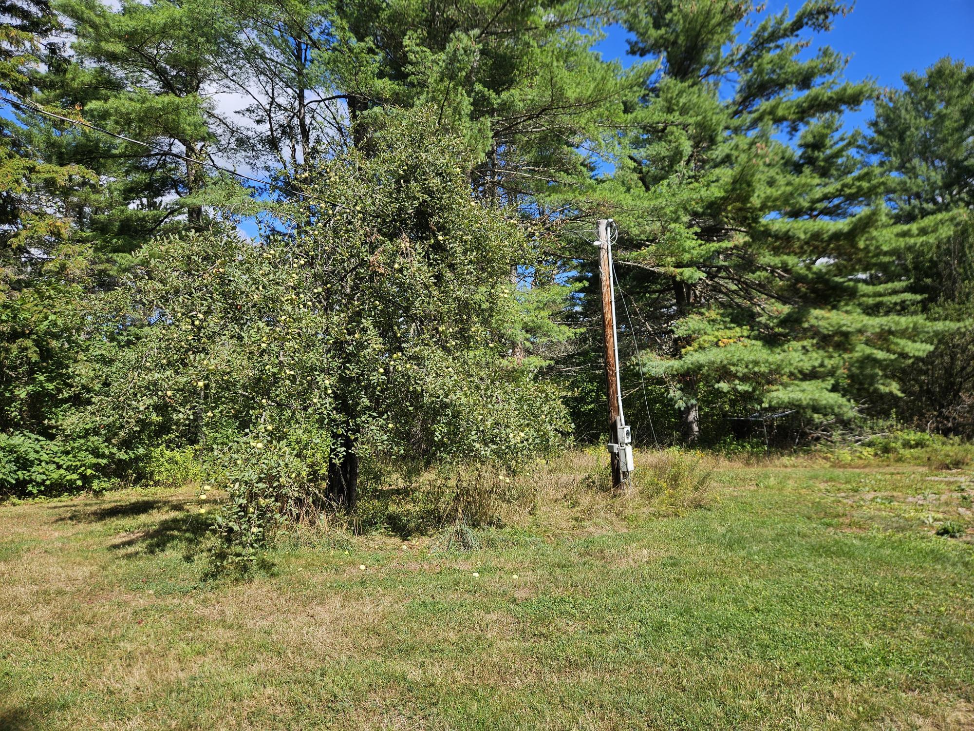 24 Howard Siding Lane Abbot, ME 04406 - Photo 6 of 44 20250908_111602