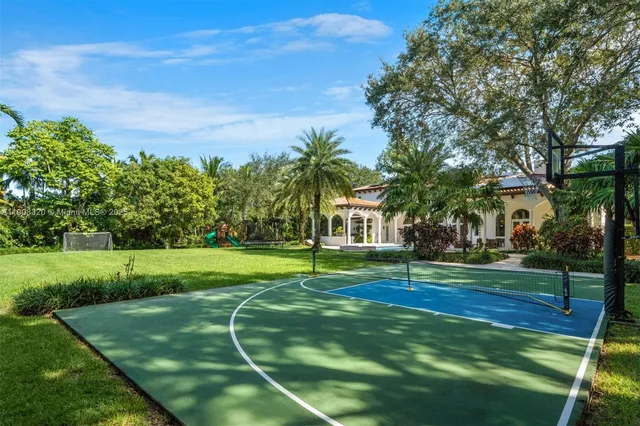 a garden view with tall trees