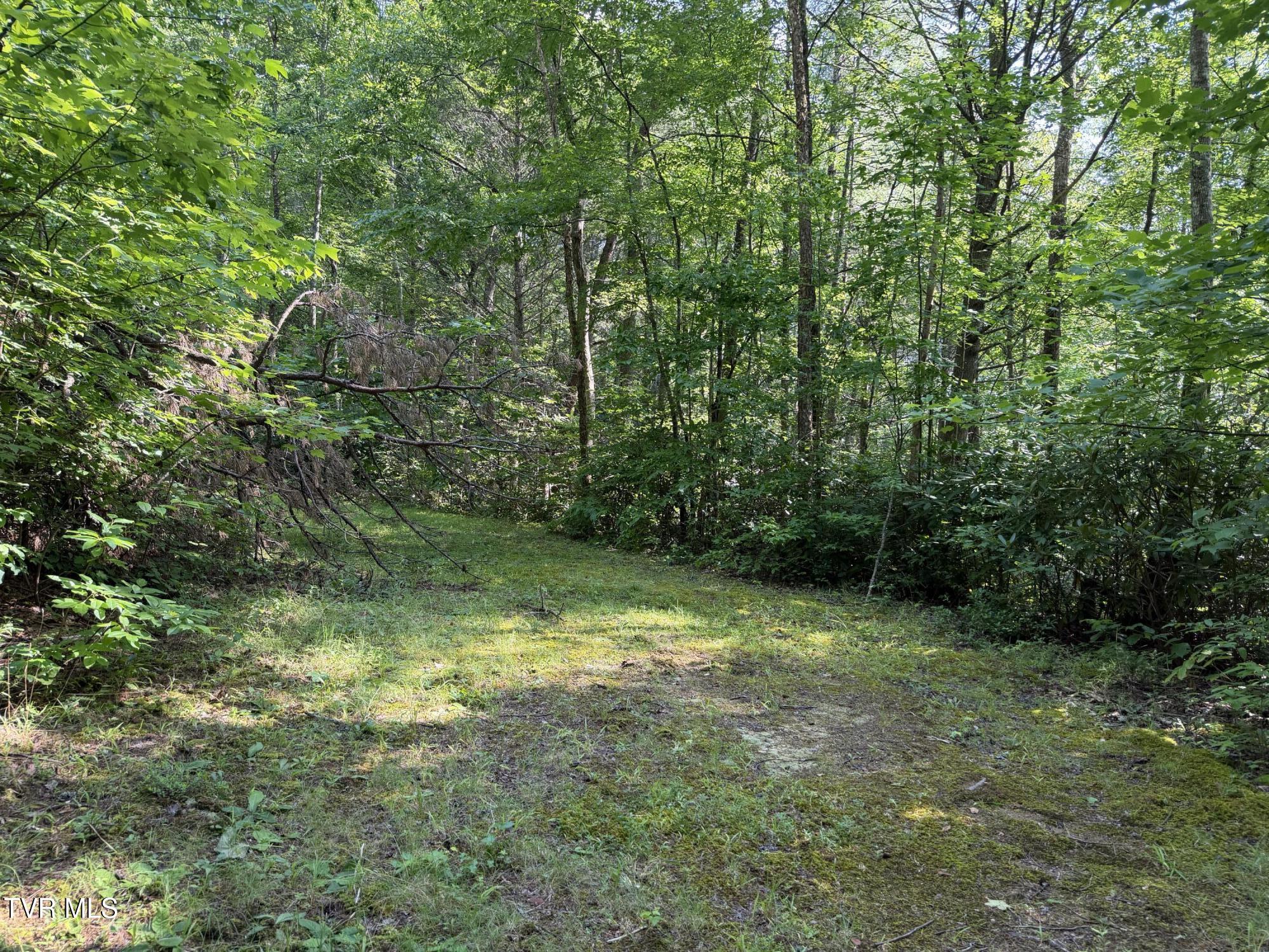 0 East Highway 25 70, Unit 9 Del Rio, TN 37727 - Photo 5 of 19 IMG_6584