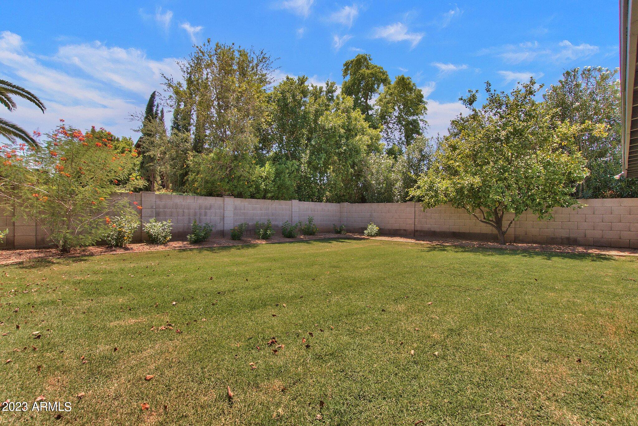 6867 East Phelps Road Scottsdale, AZ 85254 - Photo 20 of 20 Very private backyard
