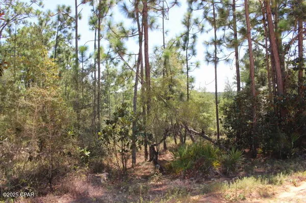 $15,000 | 0 Sycamore Street, Alford, FL 32420