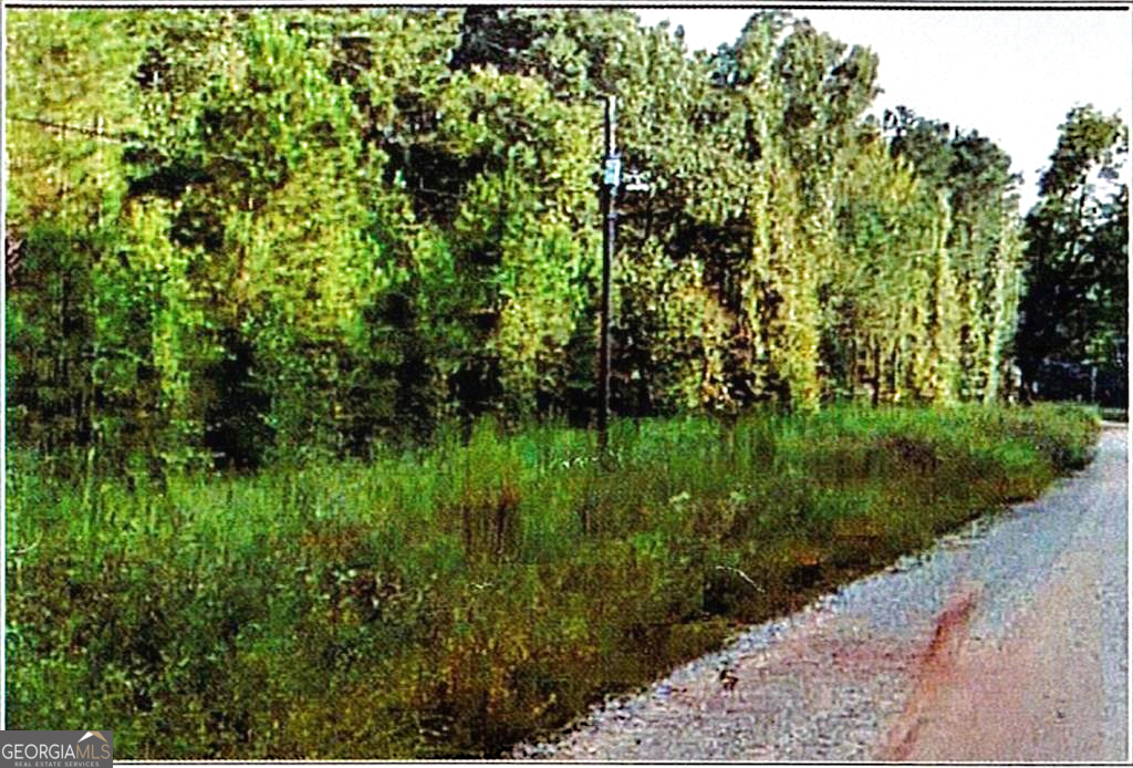 0 Felton Mcmichael Rd & Hayes - Landlot 090 Road Monticello, GA 31064 - Photo 3 of 7