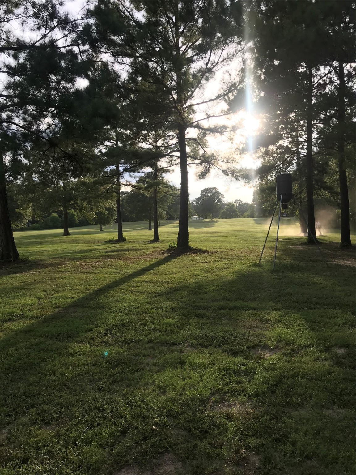 0 Seven 7 Sisters Road New Caney, TX 77357 - Photo 4 of 6