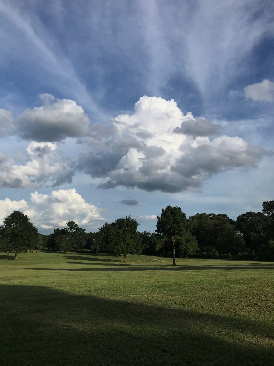 0 Seven 7 Sisters Road New Caney, TX 77357 - Photo 5 of 6