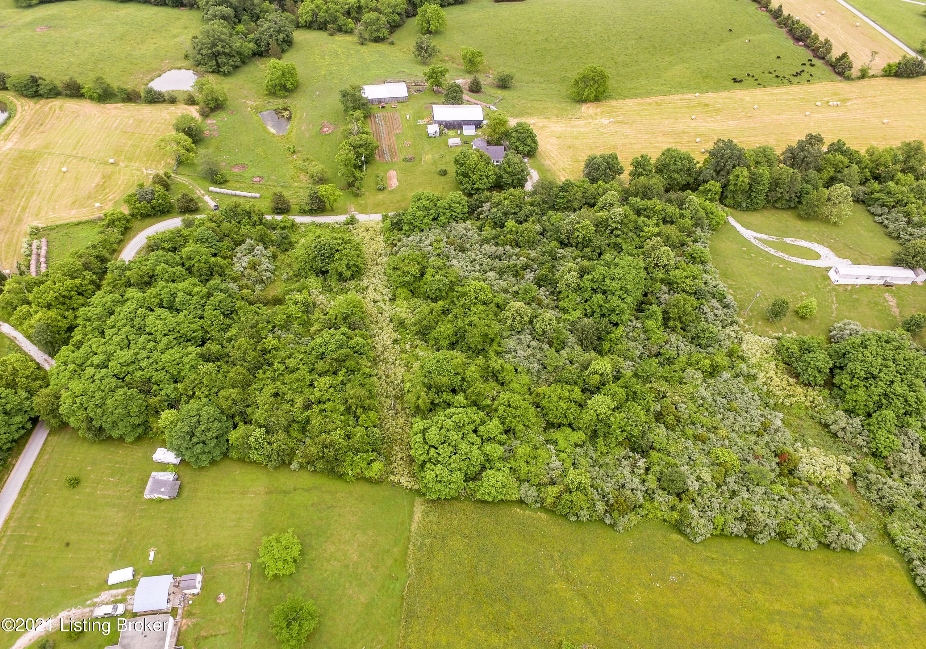 2 New Cut Road Campbellsburg, KY 40011 - Photo 4 of 6 DJI_0317-HDR