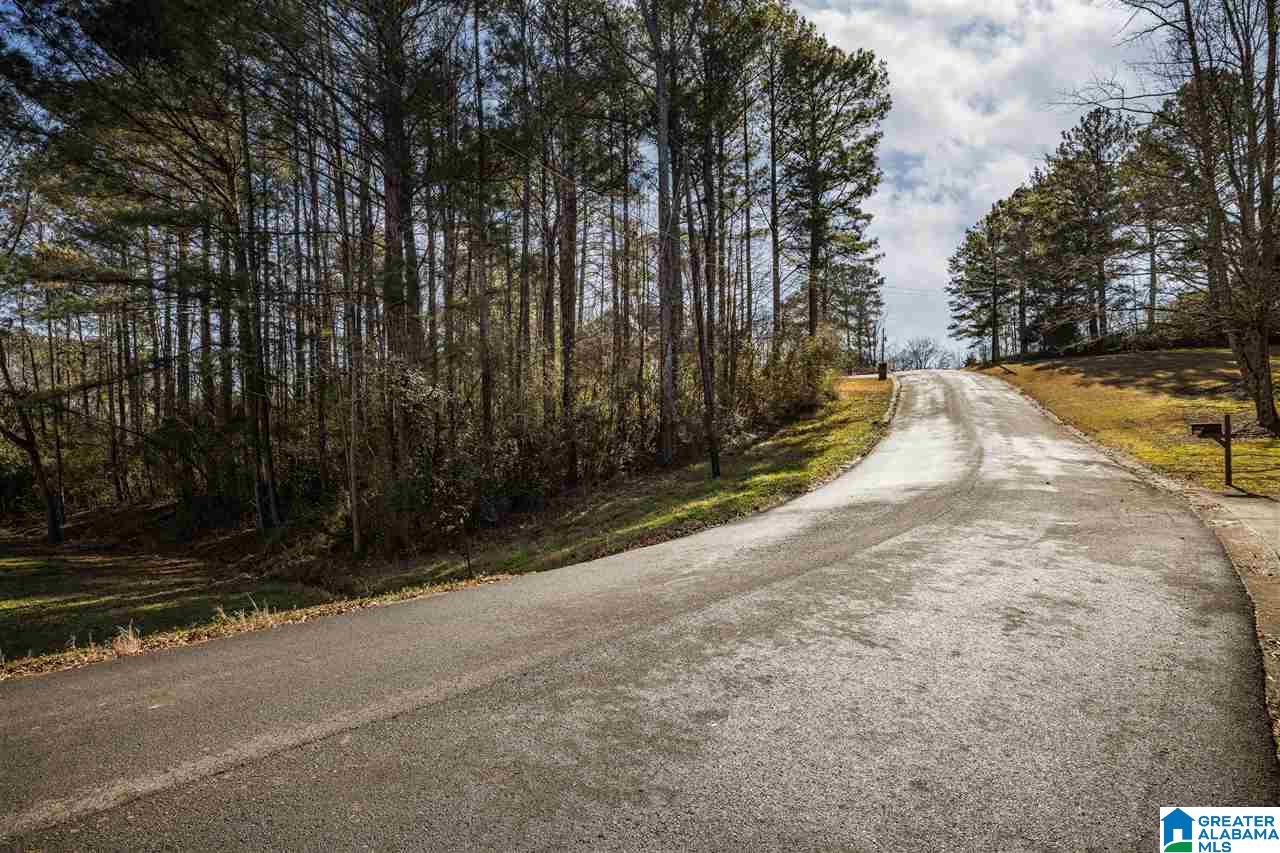 0 Scenic Trail, Unit 1 Oneonta, AL 35121 - Photo 2 of 18