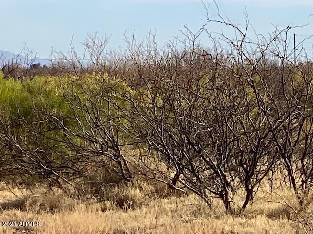 40 West Ac's, Unit 25 McNeal, AZ 85617 - Photo 3 of 8 IMG_1117