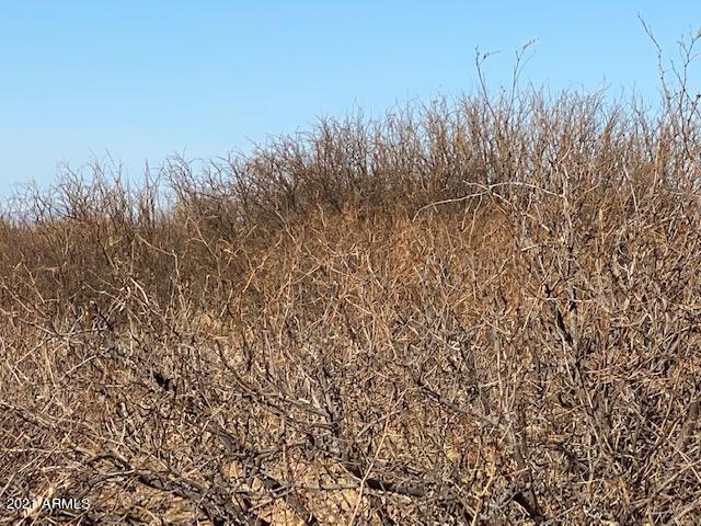 40 West Ac's, Unit 25 McNeal, AZ 85617 - Photo 5 of 8 IMG_1114