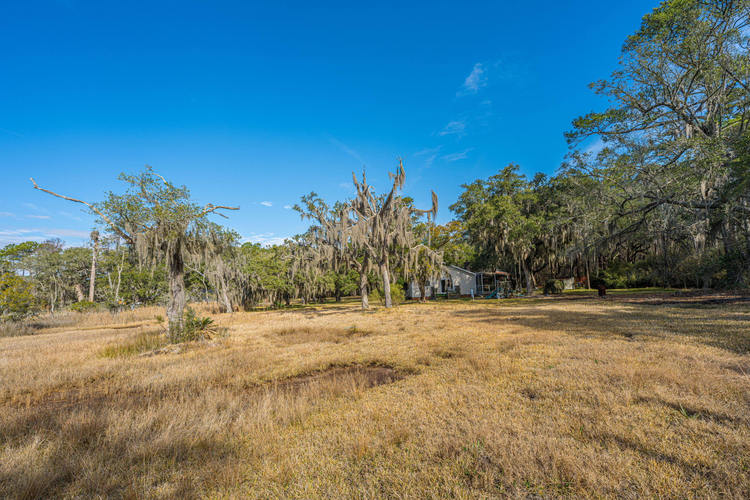 4107 Davison Road Ravenel, SC 29470 - Photo 33 of 39 4107DavisonRd018