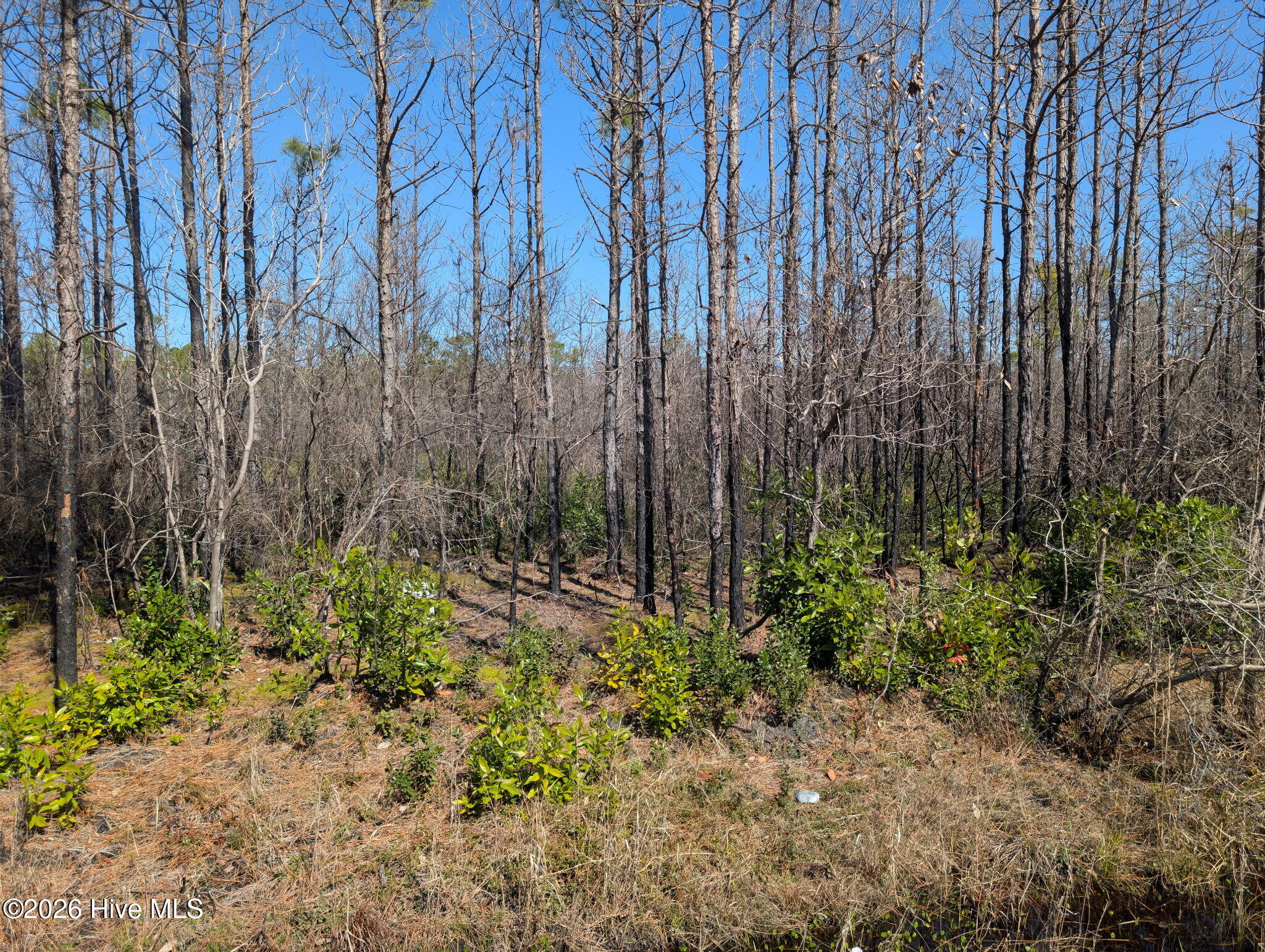 844 West Boiling Spring Road Boiling Spring Lakes, NC 28461 - Photo 1 of 1 6823181140372573955