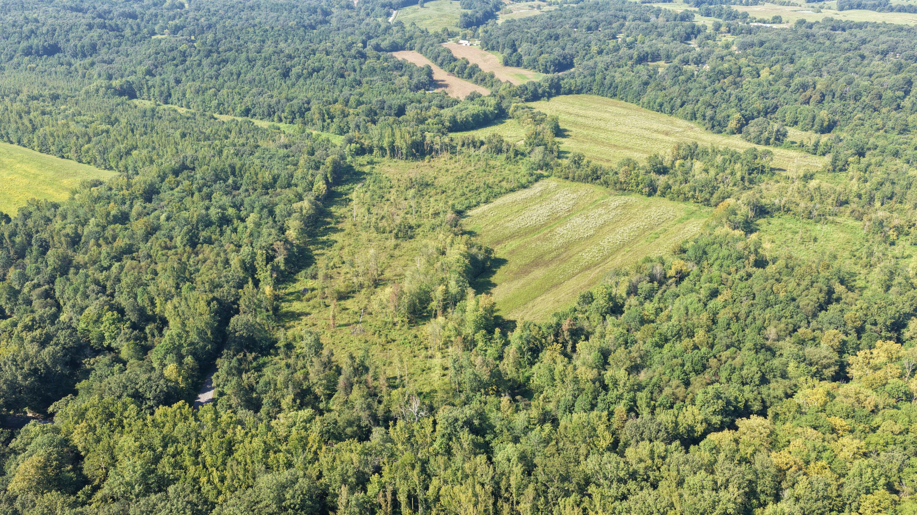 0 Dogtown Road Benton, KY 42025 - Photo 2 of 18 DJI_20260902131046_0002_D