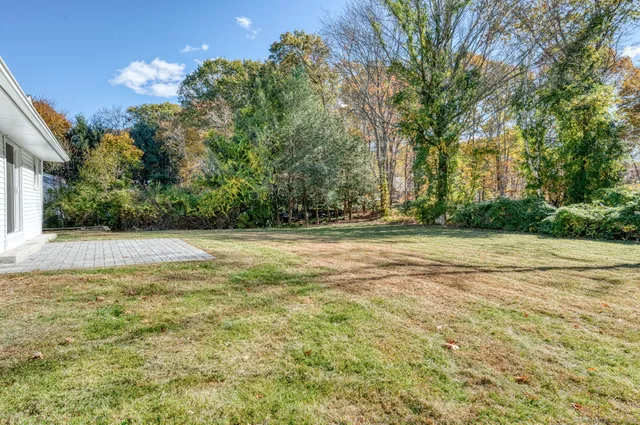 a view of backyard with green space
