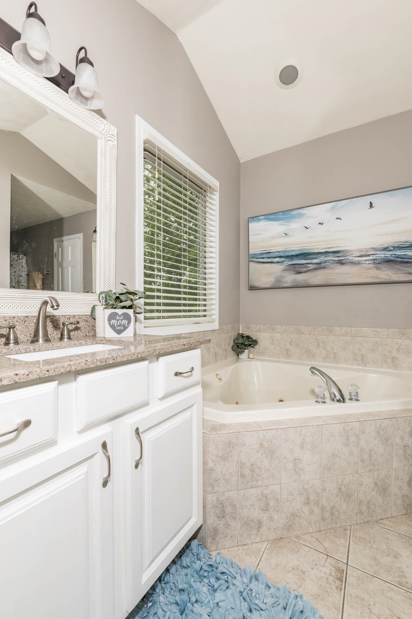 10023 Tybow Trail Roscoe, IL 61073 - Photo 13 of 20 a bathroom with bathtub sink and mirror