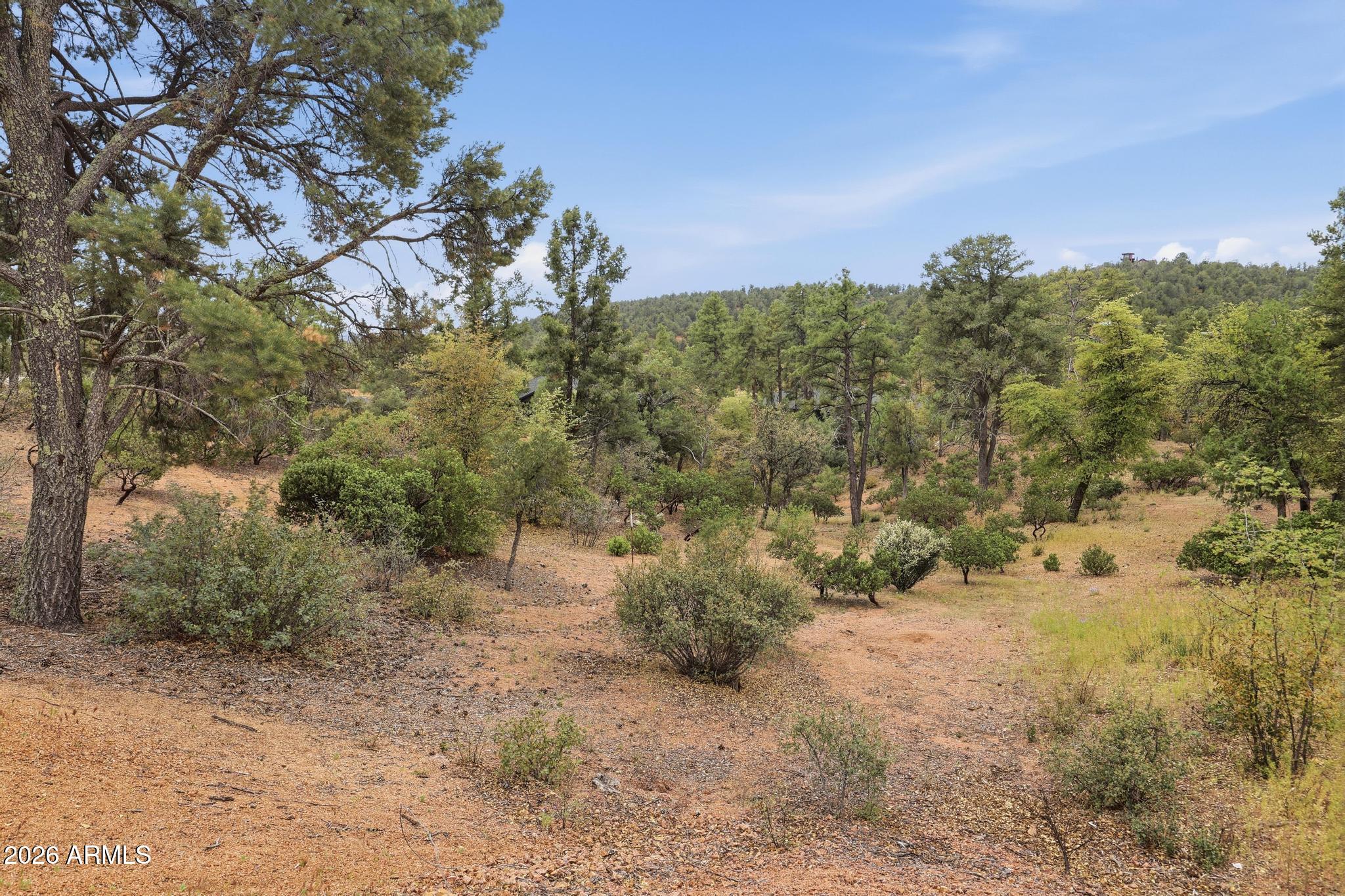 1701 East Redbud Court, Unit 879 Payson, AZ 85541 - Photo 3 of 12 a view of a yard with a tree