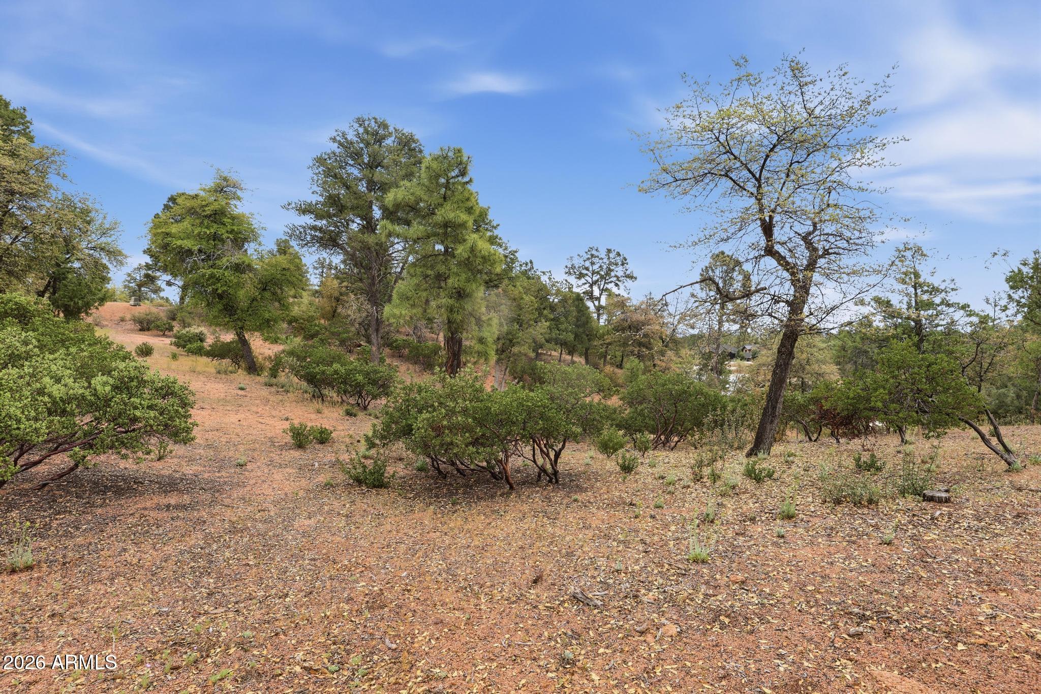 1701 East Redbud Court, Unit 879 Payson, AZ 85541 - Photo 4 of 12 a picture of plants
