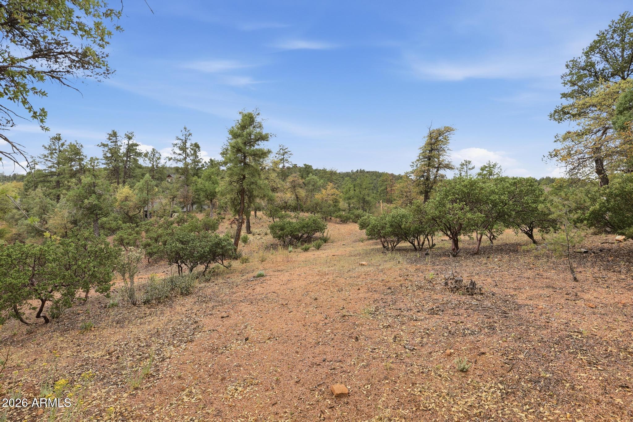 1701 East Redbud Court, Unit 879 Payson, AZ 85541 - Photo 5 of 12 a view of a dry yard with trees