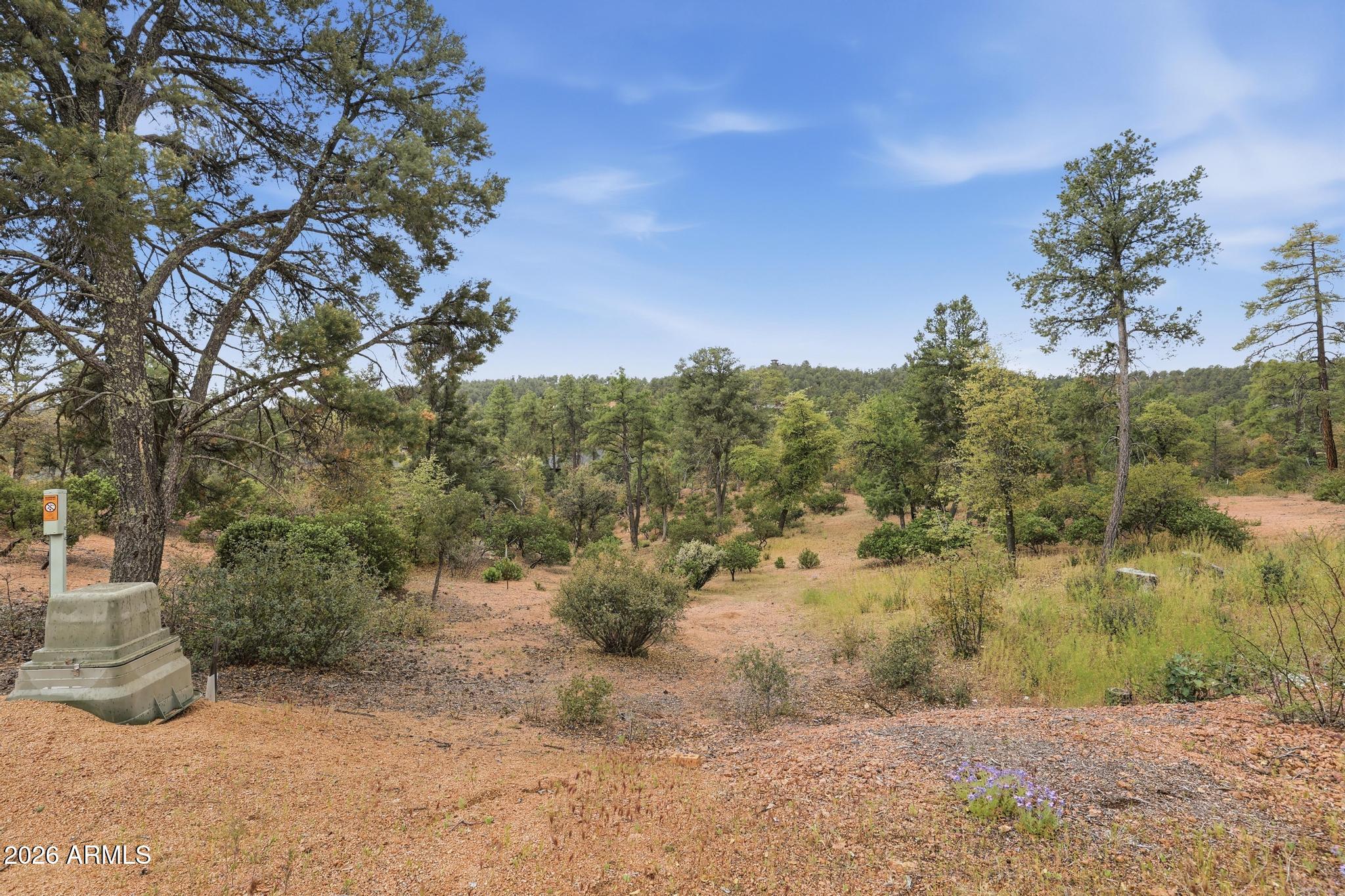 1701 East Redbud Court, Unit 879 Payson, AZ 85541 - Photo 6 of 12 a view of a dry yard with trees