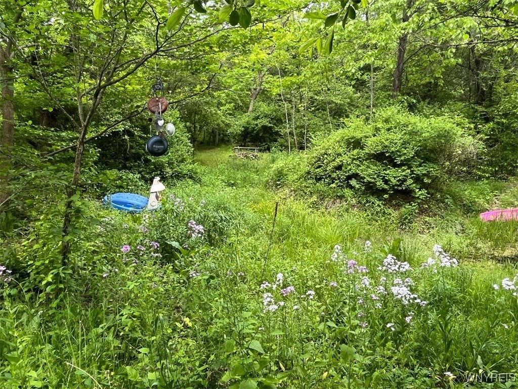 7651 New Hudson Road New Hudson, NY 14717 - Photo 12 of 21