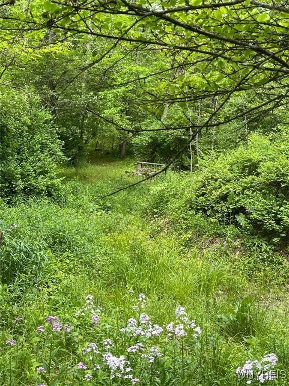 7651 New Hudson Road New Hudson, NY 14717 - Photo 14 of 21