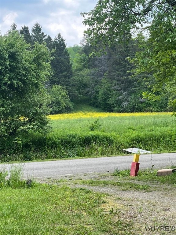 7651 New Hudson Road New Hudson, NY 14717 - Photo 20 of 21