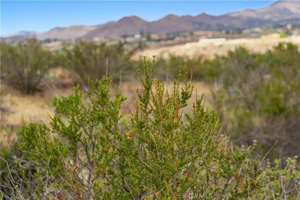 1 Gray Squirrel Road Temecula, CA 92592 - Photo 51 of 74