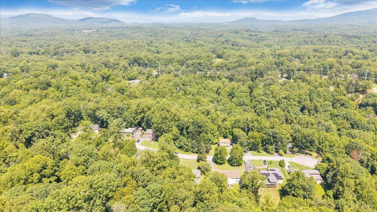 926 Rothowood Road Lynchburg, VA 24503 - Photo 75 of 81 Gallery Image 75