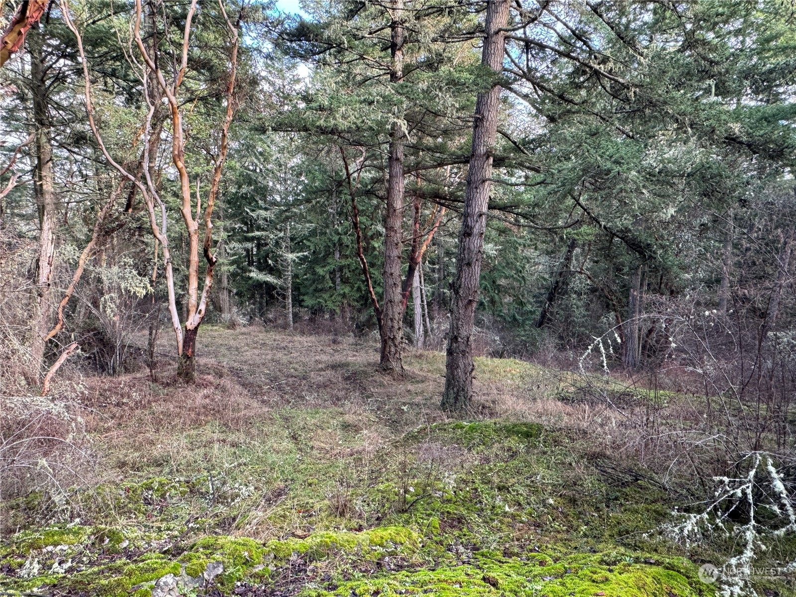 14 Prospect Road Friday Harbor, WA 98250 - Photo 18 of 21 Gallery Image 18