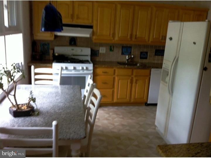 1074 Delene Road Rydal, PA 19046 - Photo 4 of 16 Kitchen