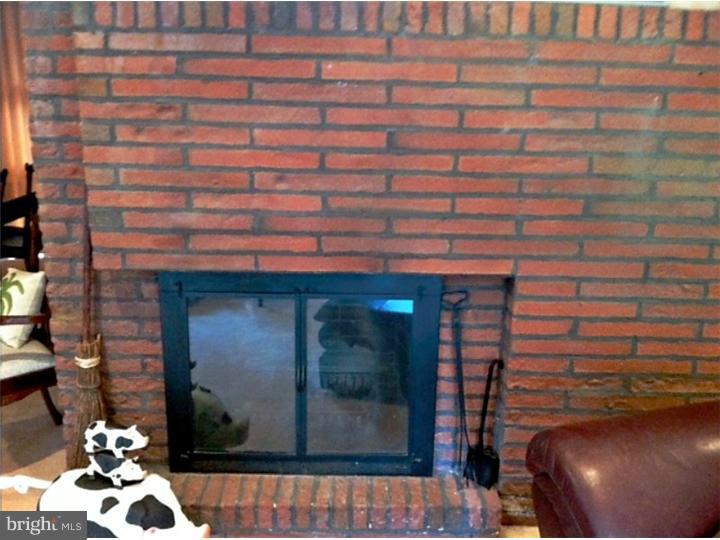 1074 Delene Road Rydal, PA 19046 - Photo 10 of 16 Fireplace
