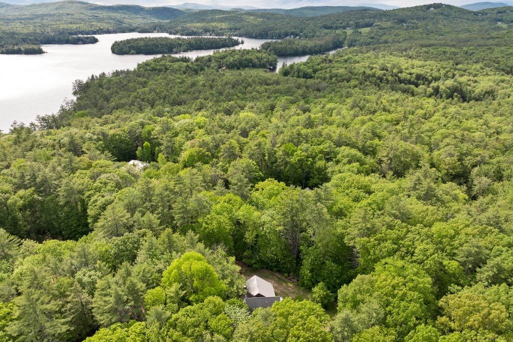 11 Bonney Shores Road Meredith, NH 03253 - Photo 4 of 60