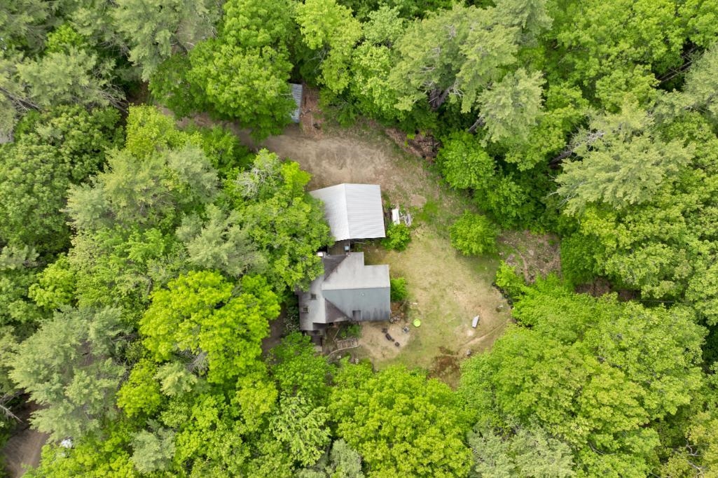 11 Bonney Shores Road Meredith, NH 03253 - Photo 59 of 60