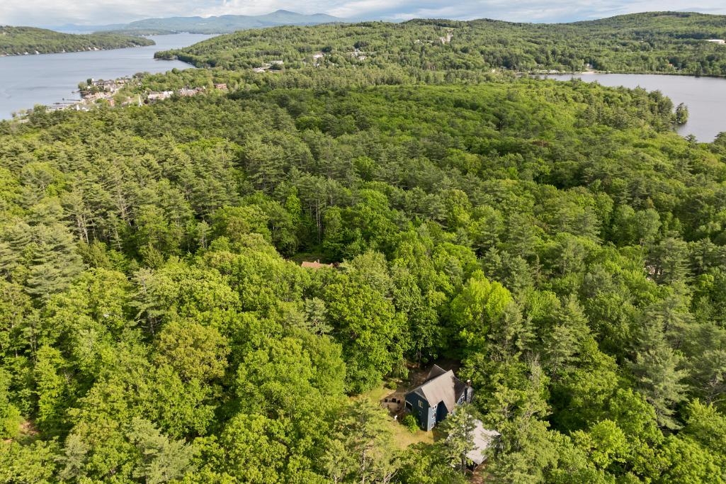 11 Bonney Shores Road Meredith, NH 03253 - Photo 8 of 60