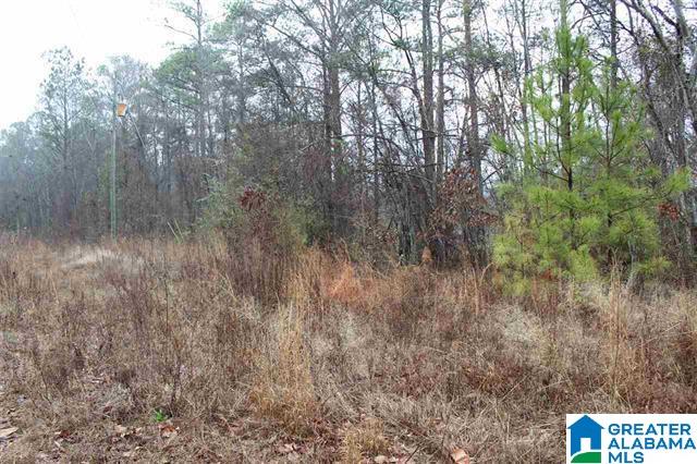 2191 Coldwater Road Anniston, AL 36201 - Photo 15 of 25