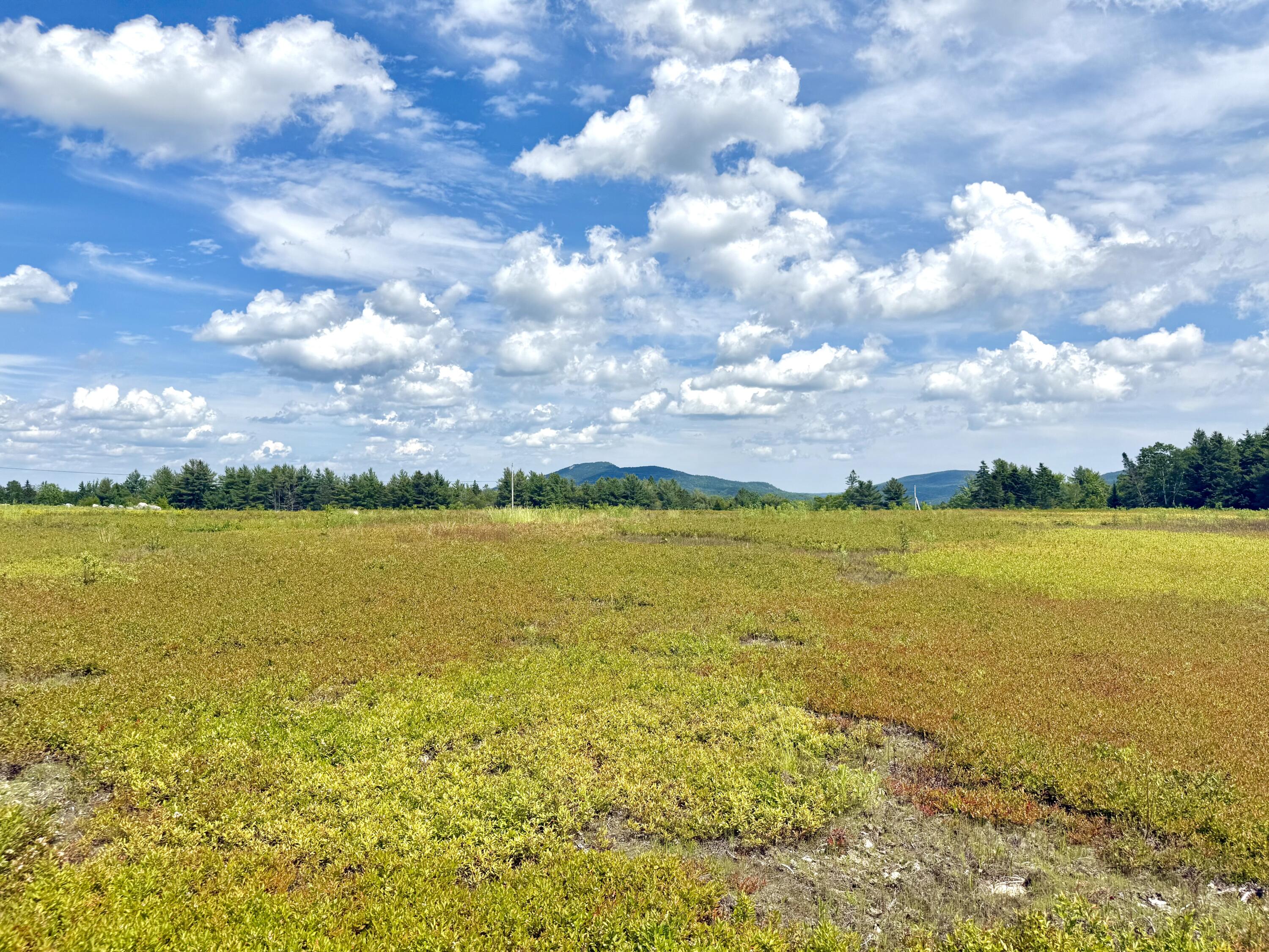 11 Martins Ridge Road Franklin, ME 04634 - Photo 35 of 85 Lot 11