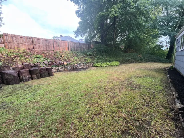 a view of a backyard with plants and a bench