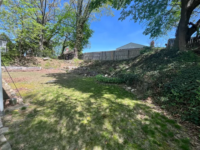 a view of a yard with plants and trees