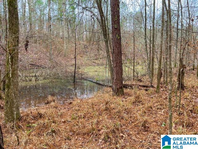 0 Deaver Walker Road Trafford, AL 35172 - Photo 18 of 28
