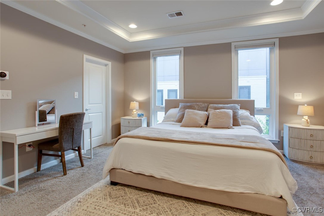 447 Nottoway Walk Alexandria, VA 22304 - Photo 19 of 49 Bedroom featuring light colored carpet, a tray cei