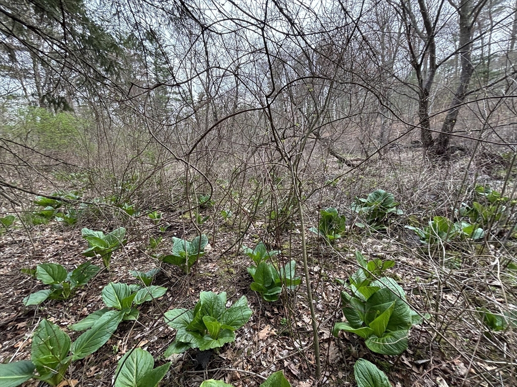 3 Howarth Road Oxford, MA 01540 - Photo 13 of 27