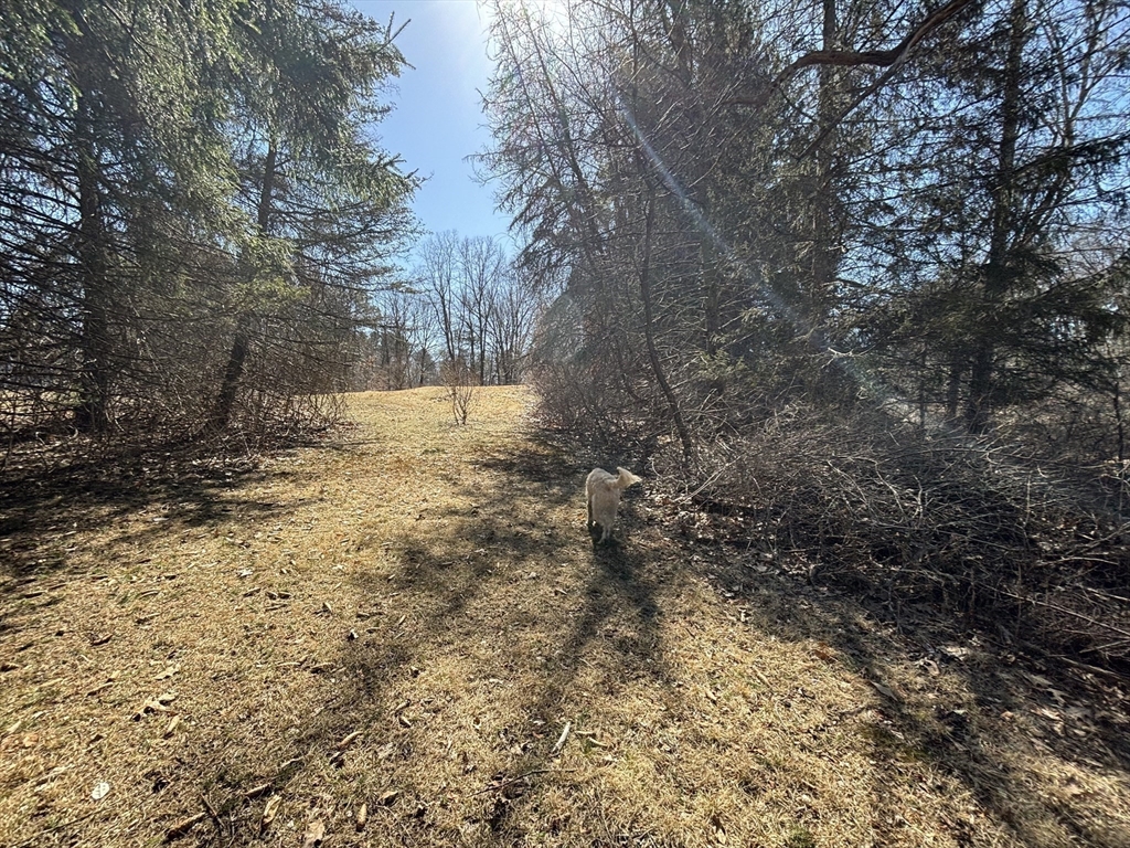 3 Howarth Road Oxford, MA 01540 - Photo 16 of 27