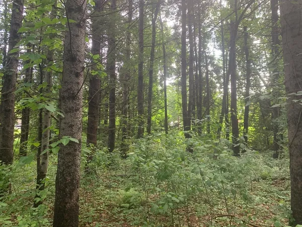 $189,500 | 3 Howarth Road, Oxford, MA 01540