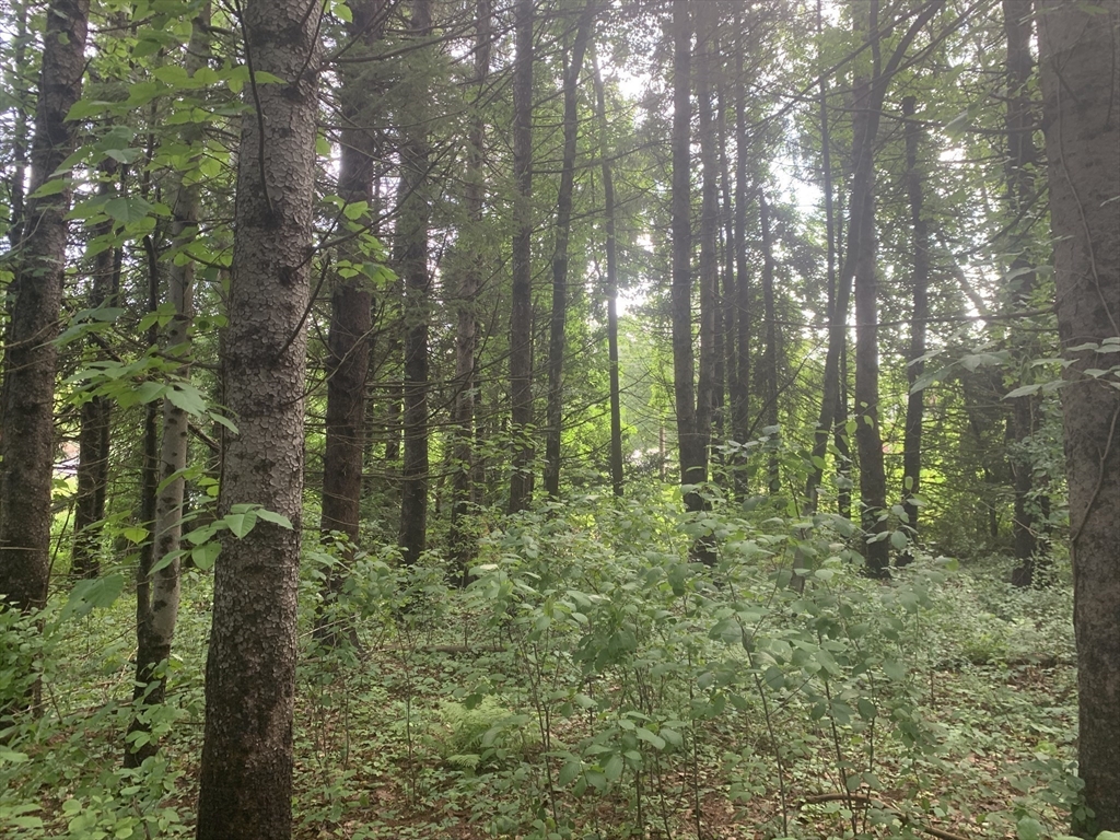 3 Howarth Road Oxford, MA 01540 - Photo 5 of 27