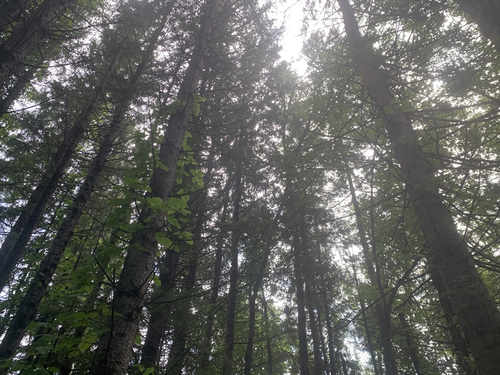 3 Howarth Road Oxford, MA 01540 - Photo 6 of 27